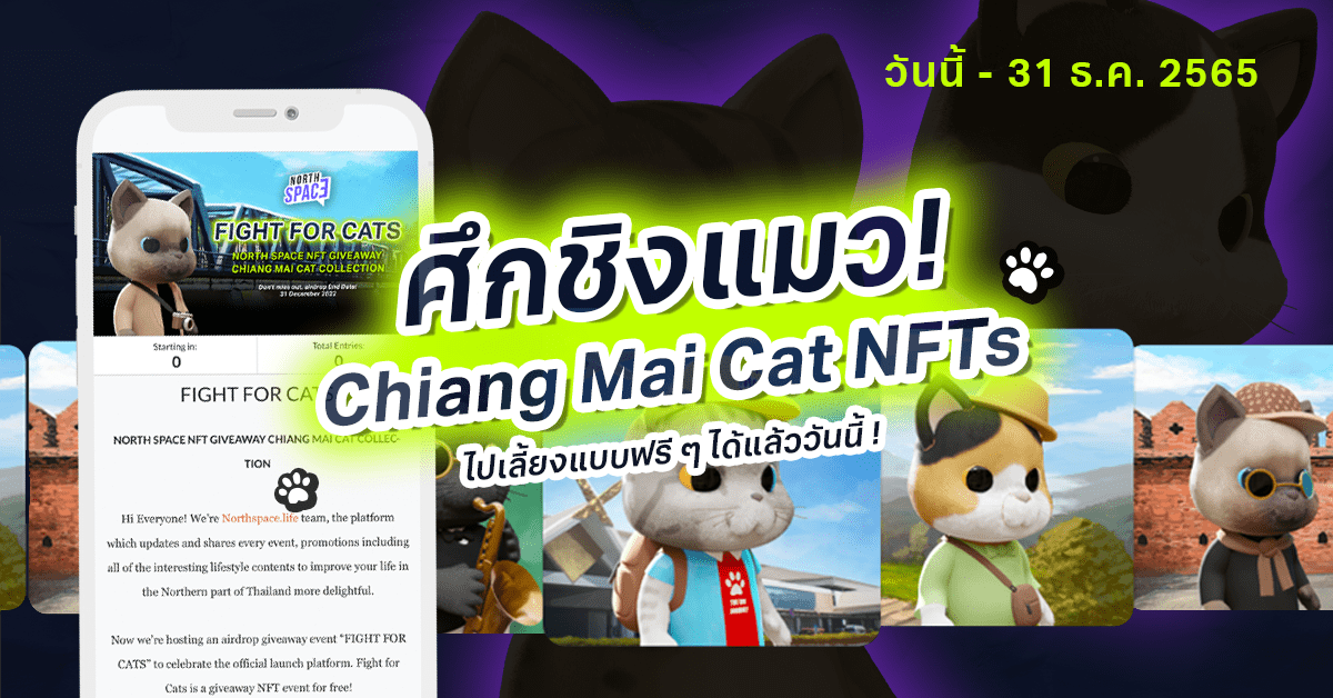 ” FIGHT FOR CATS ” น้องแมว Chiang Mai Cat NFTs
