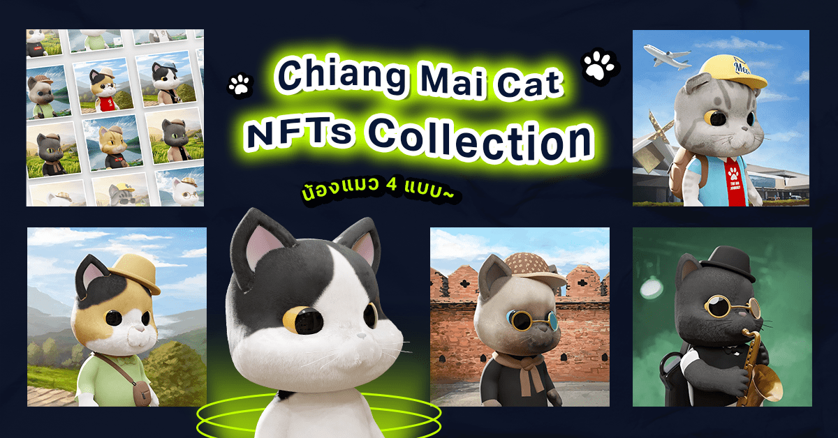 มาทำความรู้จักกับ Chiang Mai Cat NFTs Collection กัน !!