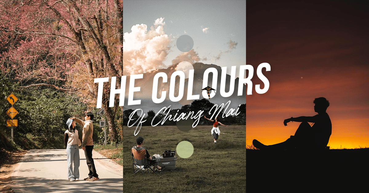 The Colours Of Chiang Mai ภาพถ่ายเชียงใหม่ Mood สวยๆ
