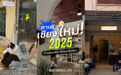อัปเดต 10 ร้านกาแฟ คาเฟ่เชียงใหม่ 2025 สายเช็คอินห้ามพลาด!