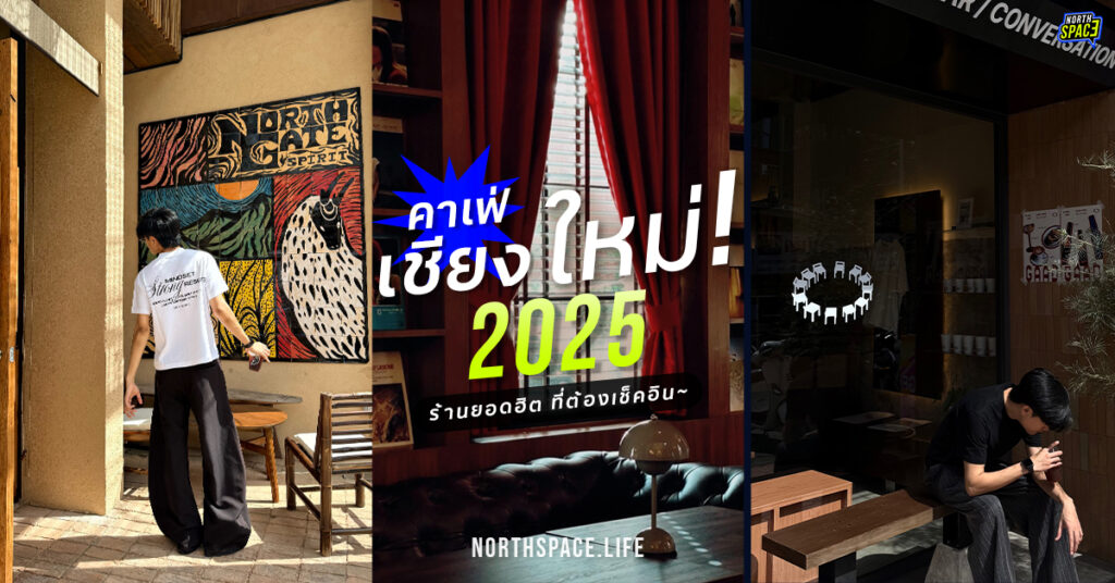 10 ร้านกาแฟ คาเฟ่เชียงใหม่ 2025 เปิดใหม่ ที่สายเช็คอินห้ามพลาด!