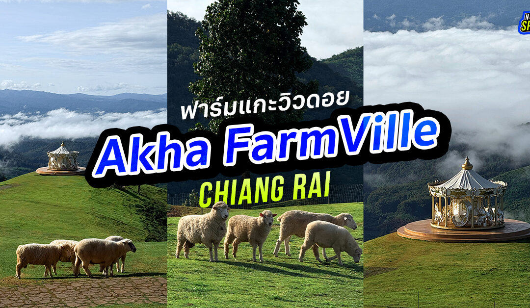 Akha Farm Ville ม้าหมุนวิวทะเลหมอกกลางขุนเขา จุดเช็กอินเชียงรายที่ต้องไปสักครั้ง!