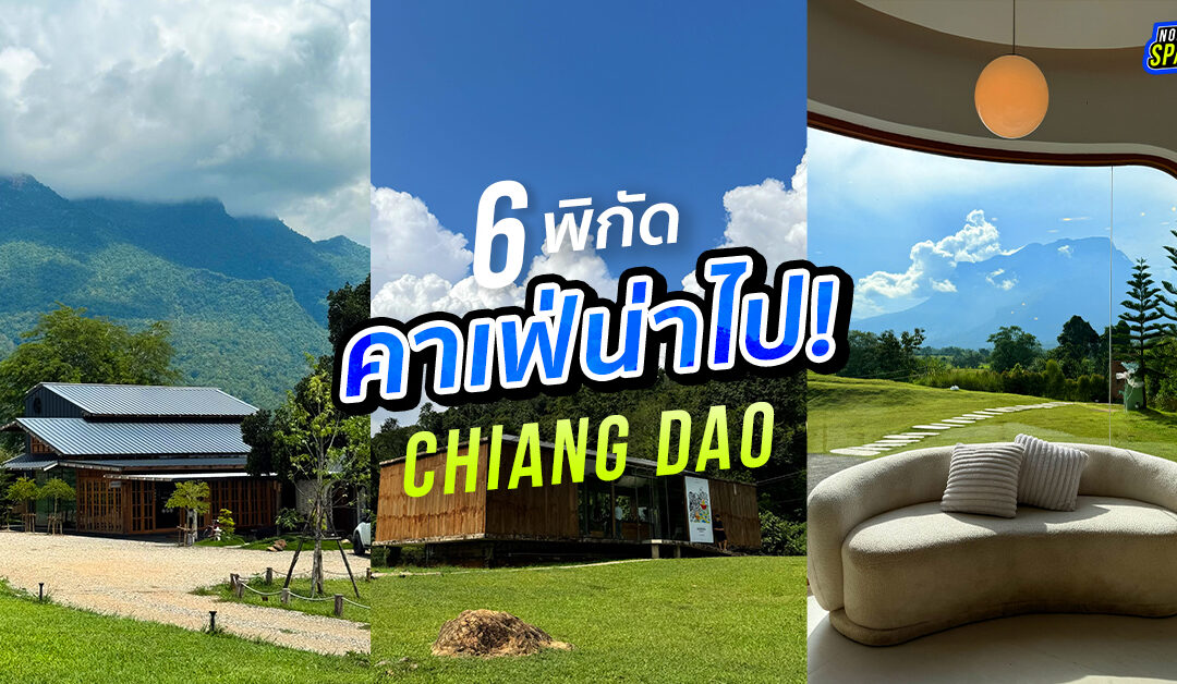 6 คาเฟ่เชียงดาว 2025 วิวปังเห็นดอยหลวงเต็มตา ต้องมาเช็คอิน!